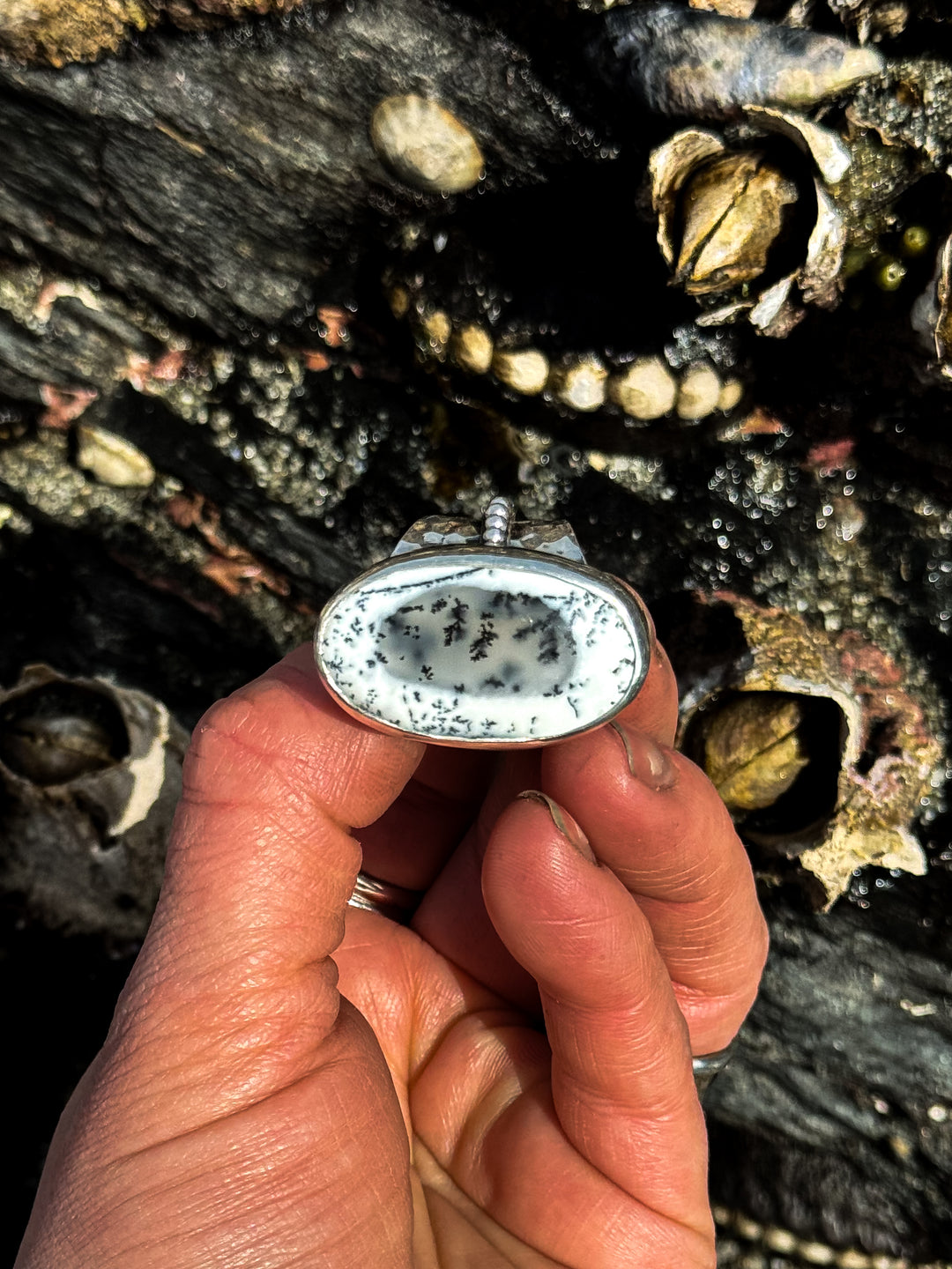 Born From the Earth: Dendritic Opals